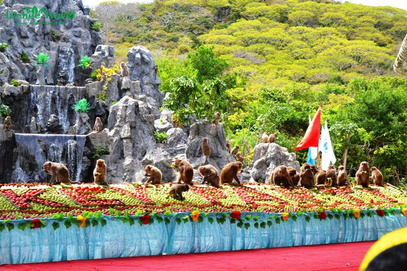 dao-khi-nha-trang-litchee-travel-01