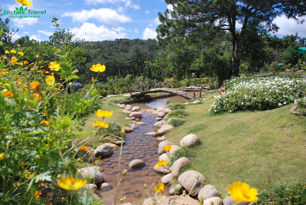 Thung lung vang da lat litchee travel