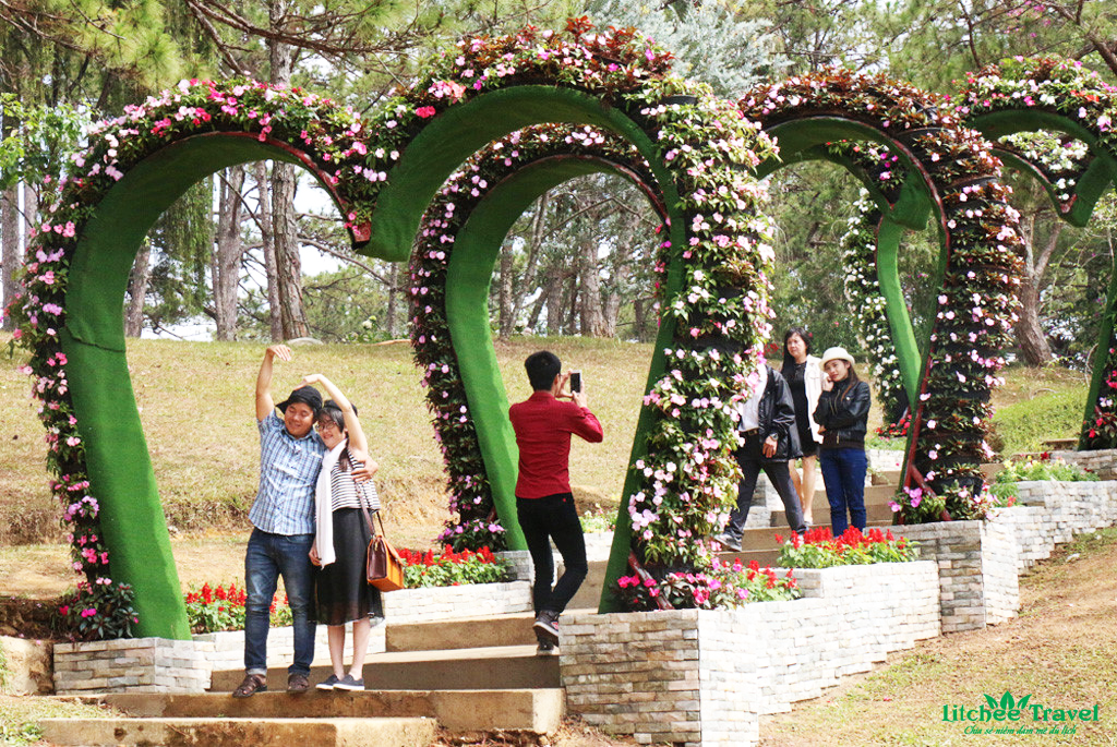 thung lung tinh yeu da lat - litchee travel 2017